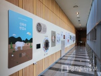 수원광교박물관, 틈새전시 신축년 반갑소 진행