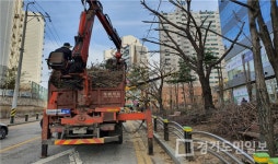 시흥시 대야·신천행정복지센터, 수목 125주 대대적 전정 작업