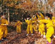 인천 동구, 11월까지 유아숲 체험 들어가