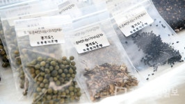 경기도, 사라져가는 토종종자 지킨다