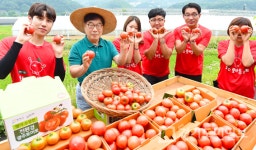 광주시 토마토 팔아주기 나서