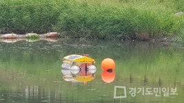 인천 서구, IoT 기반 하천 수질 모니터링