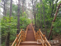 용인시, 법화산 노후 등산로 정비 마쳐