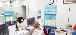 안산시 무상 교통 폭발적 반응