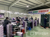 안산시, 12~18일 대부도 바다포도축제