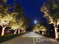 가평군, 조종천 제방로 야간 조명 설치