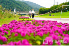광주시 청석공원 가을 정취가 물씬 풍기는 국화꽃 힐링광장 변신
