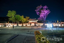 11월 일상회복 맞춰 수원화성·화성행궁 수원화성 미디어아트쇼 등 재개