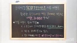 에어로냐 올라운더냐, 최정상 프레임의 성향 차이는?