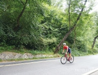 [여우의 사이클링팁] 도로 포장상태를 잘 확인하자