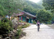 한국의 강둑길65-전주천·소양천(전주·완주)한국적인 도시 전주를 감싸고 흐른다