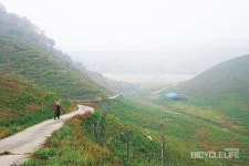 이윤기의탐사투어-서산 한우목장과 일락산 임도