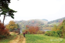 이윤기의탐사투어-서산 한우목장과 일락산 임도