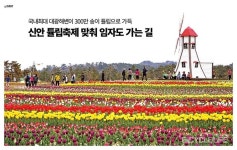 신안 튤립축제 맞춰 임자도 가는 길