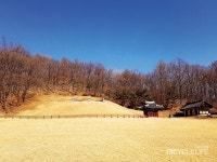 연천 경순왕릉 ~ 군남댐 임진강변길