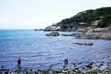 부산 송정역~기장역 해안길 즐비한 포구, 환상의 오시리아… 여기도 부산이다