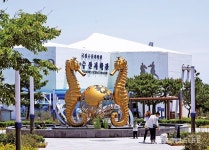 부산 송정역~기장역 해안길 즐비한 포구, 환상의 오시리아… 여기도 부산이다