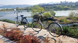 뽈락선생의일본편지-도쿄~서울 자전거 유랑기 (마지막회)