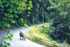 여우의 사이클 팁-국내최초의 그래블바이크 대회 참가기