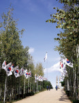 รูปภาพผลการค้นหา Naver 3
