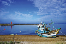 바다 같기도, 호수 같기도,  육지 같기도한 천수만