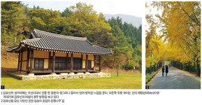 진천에서 태어난 삼국통일의 주역 김유신의 유산