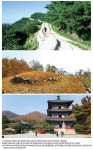 진천에서 태어난 삼국통일의 주역 김유신의 유산