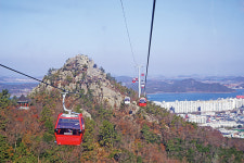 사천 바다케이블카 누르고 압도적 1위 목포 해상케이블카
