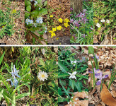 (자전거여행)양평 지평-국운을 바꾸는 승리의 땅, 아른거리는 막걸리 내음