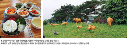 [자전거여행] 충남 예산 추사의 본향, 예당호 호반의 여유