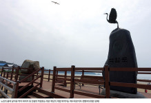 [자전거여행] 포구의 서정 <서산갯마을>과 해변가요제의 고향 연포