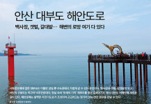 [자전거여행] 안산 대부도 해안도로  백사장, 갯벌, 갈대밭…  해변의 로망 여기 다 있다