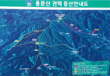 양평  용문산 (1157m) 경기 4위 고봉 우중산행, 힘겨운 하산길