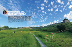 대중가요의 골목길(19)-수원, 용인