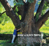 미니벨로빅투어-충북 괴산 자전거여행