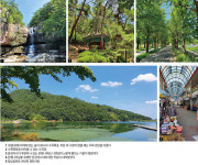 미니벨로빅투어-충북 괴산 자전거여행