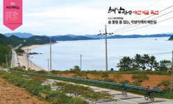 해남땅끝 자전거길 특선-4코스 바다백리길