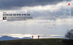 이윤기의 탐사투어-한라산 둘레길-천아숲길