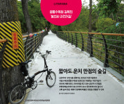 광릉수목원 길목의 봉선사 자전거길