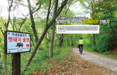 군산 망해산 ~ 익산 함라산 일주 45km