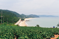 땅끝자전거길 10경 여름여행특선