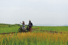 땅끝자전거길 10경 여름여행특선