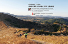 제주자전거여행 05 - 쫄븐갑마장길