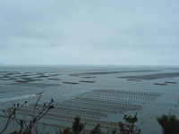 〔해남군 공동기획〕 2022 신춘답사!  봄이 가장 먼저 오는 곳, 새단장한 해남 땅끝자전거길    4코스 바다백리길