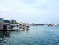 뽈락선생 원랩코리아 / 부산~고성~임진각 (4)