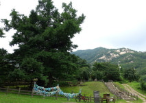 영동 천태산~마니산 일주