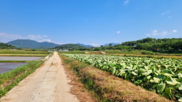 해남 땅끝자전거길을 다시 가다 - 제6코스 윤선도길