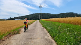 해남 땅끝자전거길을 다시 가다 – 제9코스 흑석산길