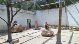 해남 땅끝자전거길을 다시 가다 – 제9코스 흑석산길