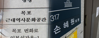 [줌인 부동산] 손혜원 목포 부동산 매입… 투기인가 아닌가